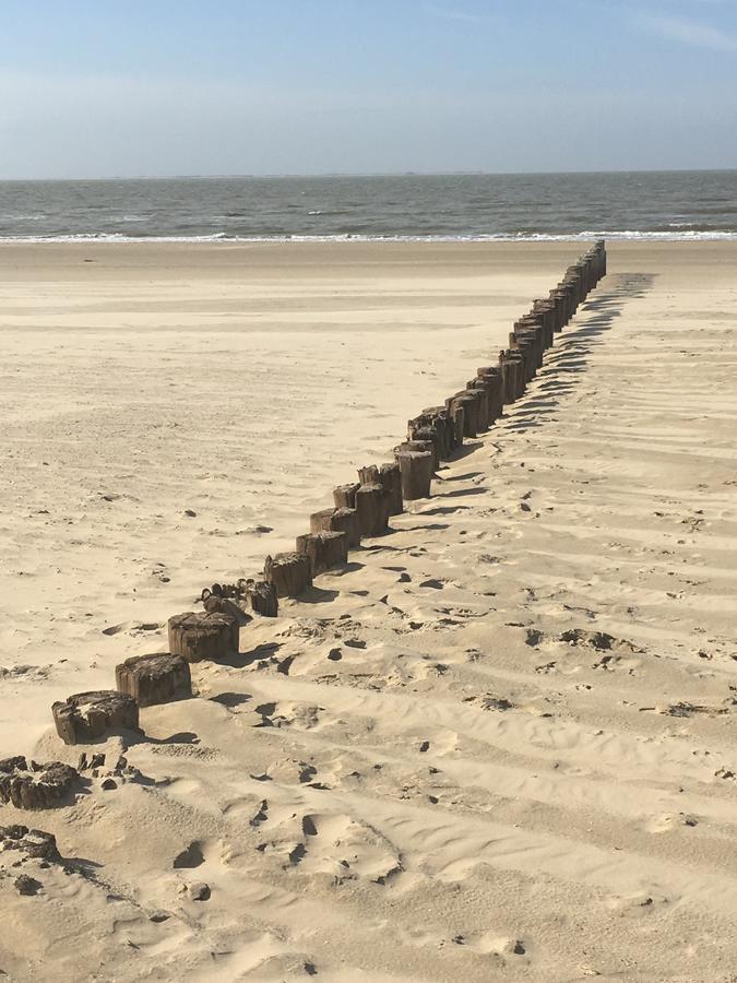 Appartement Noorderkragt, Amelander Kaap Hollum  Dış mekan fotoğraf